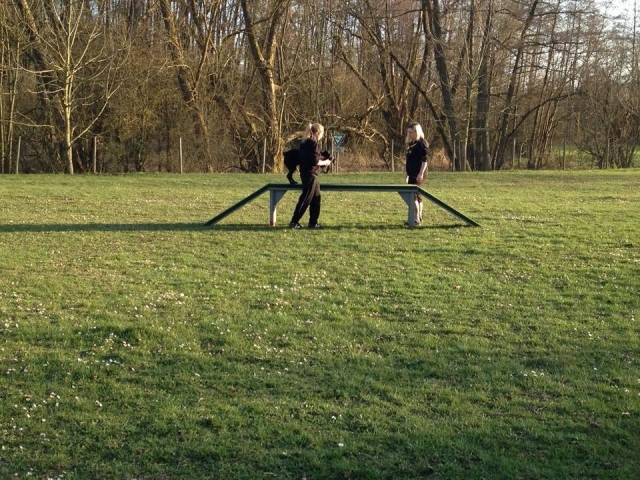 Junghundetraining